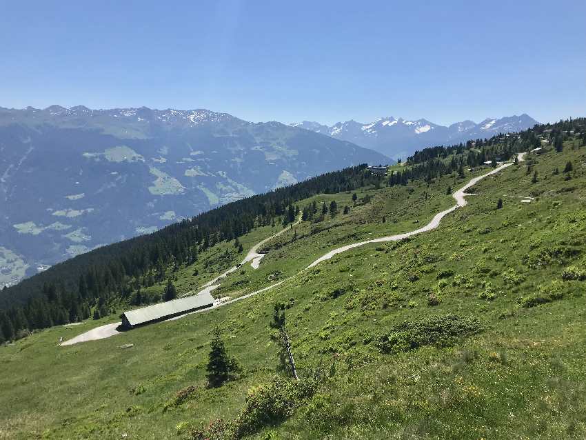 Über die Zillertaler Höhenstrasse zum Hubertus Wildtierpfad