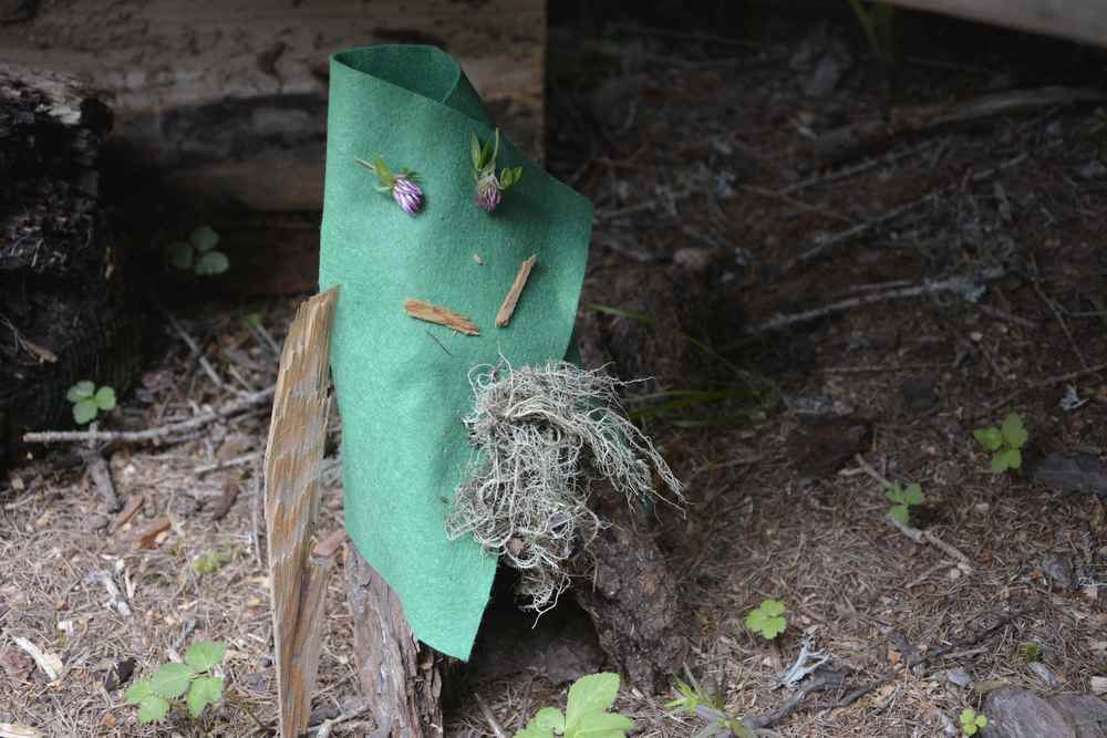 Osttirol mit Kindern: Wir basteln einen Zwerg aus einfachen Dingen, die wir im Wald finden  