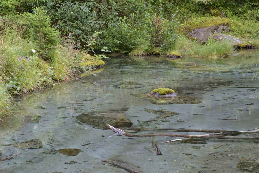 So glasklar sieht man das Wasser in der Natur nur selten