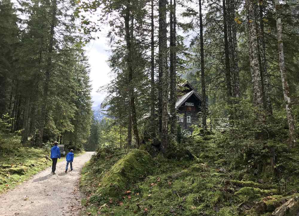 Durch den Märchenwald wandern wir zum Hinteren Gosausee im Salzkammergut