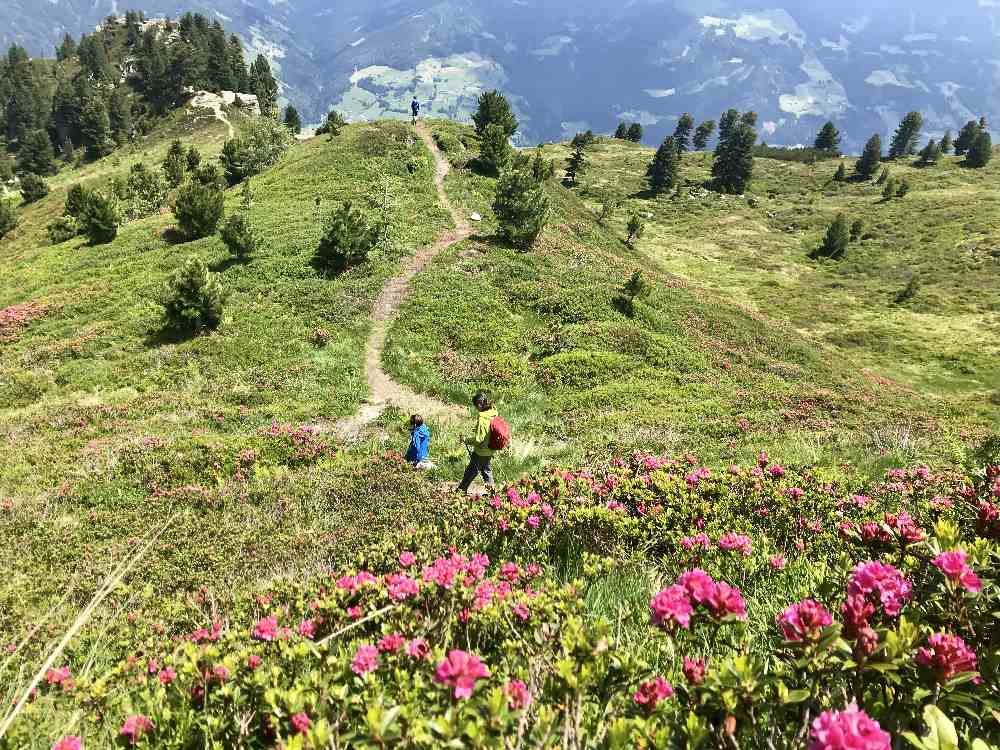 Von der Zillertaler Höhenstraße kommst du zu dieser schönen Landschaft für eine Familienwanderung