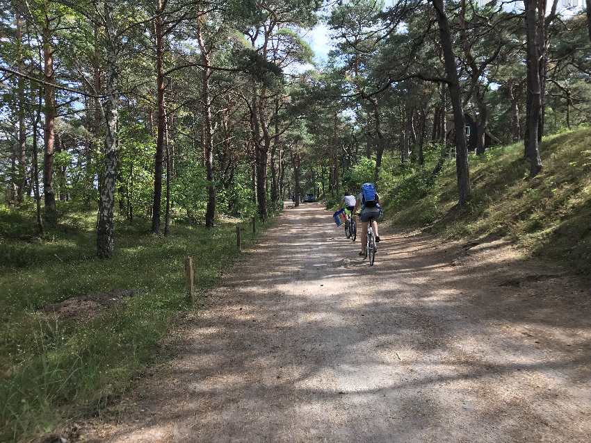 Mit dem Fahrrad geht es schnell zum Ostsee Strand - durch den idyllischen Kiefernwald