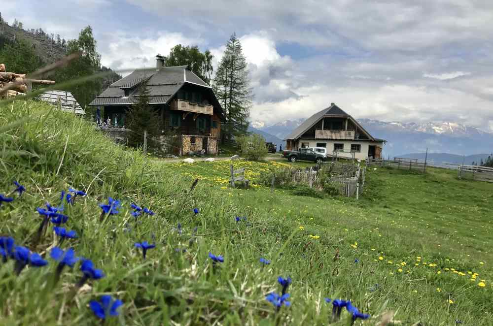 Auf eine Alm am Weissensee wandern mit Kindern - oder am türkisblauen Bergsee wandern...