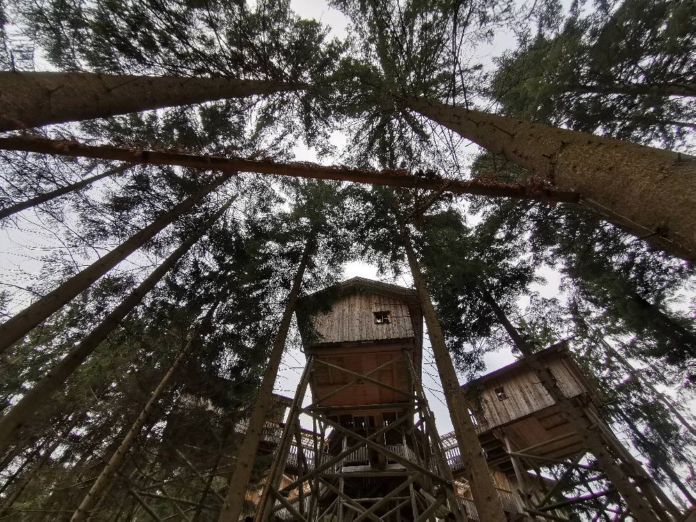 Das erste Baumhaushotel in Europa - 10 Meter oberhalb des Waldbodens
