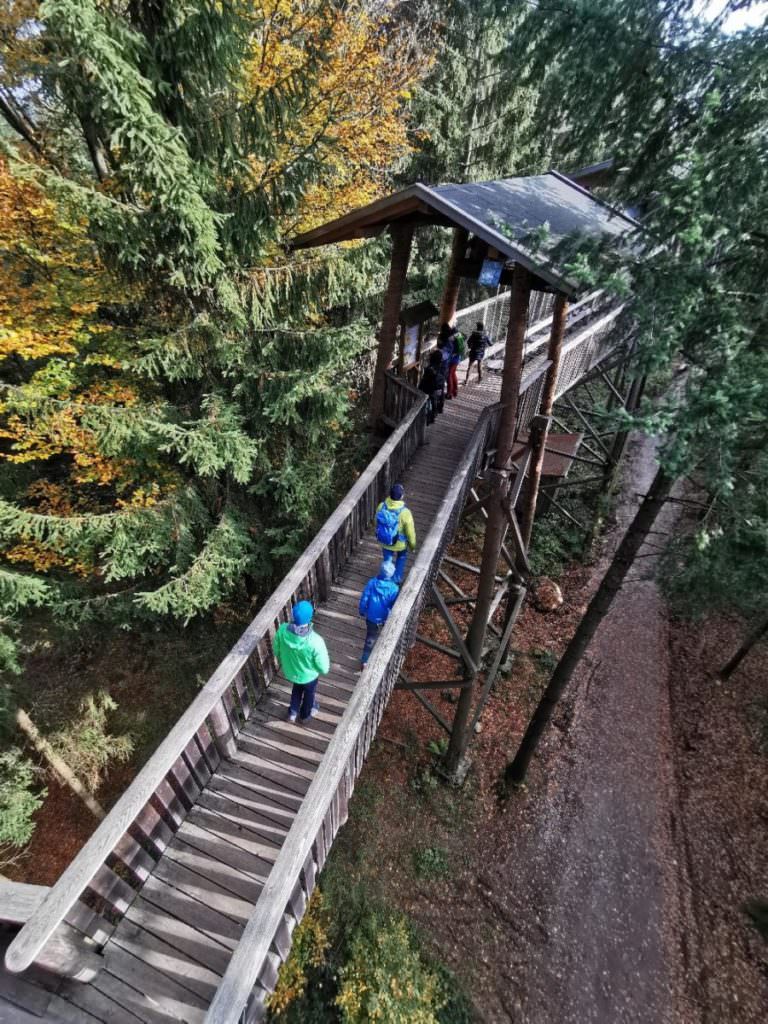 Die besten Ausflugsziele mit Kindern: Der Baumkronenweg Kopfing