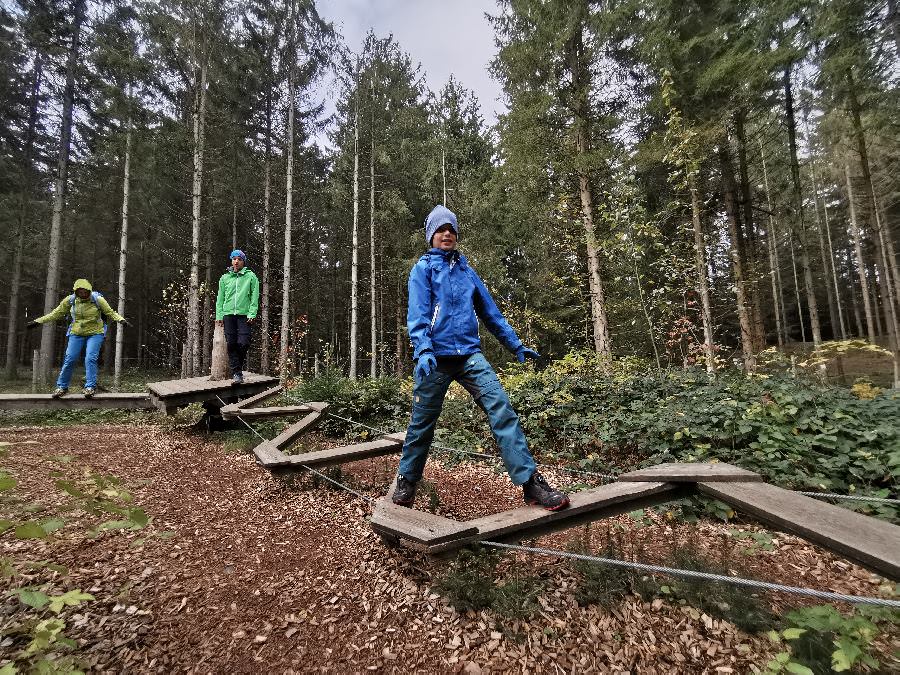 Der Niederseilgarten beim Baumkronenweg Kopfing