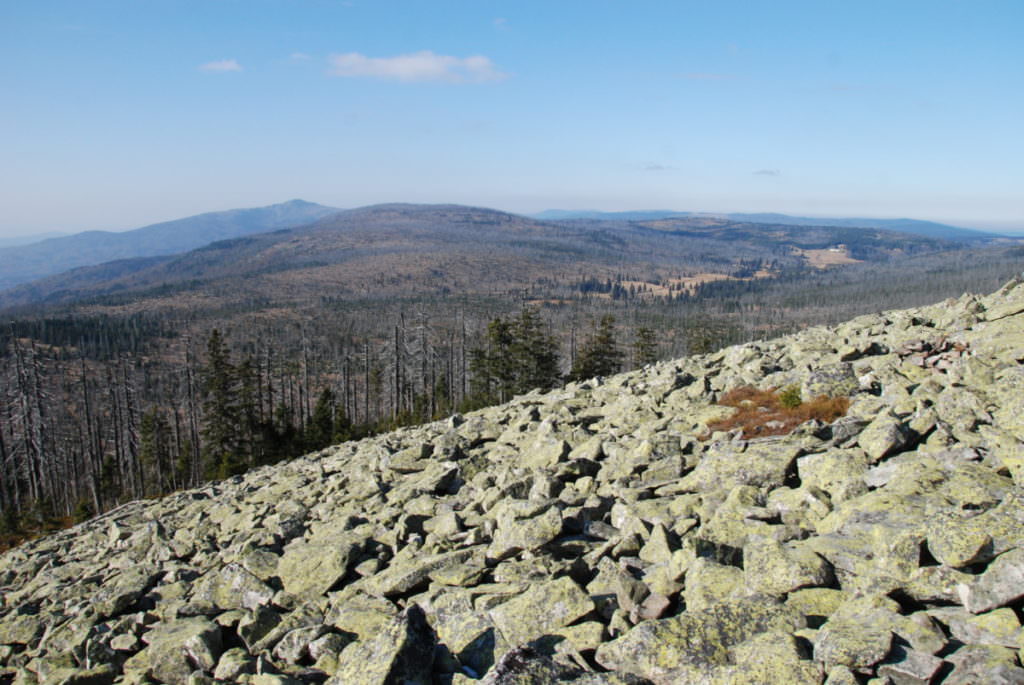 Der Ausblick am Lusen über den Bayerischen Wald