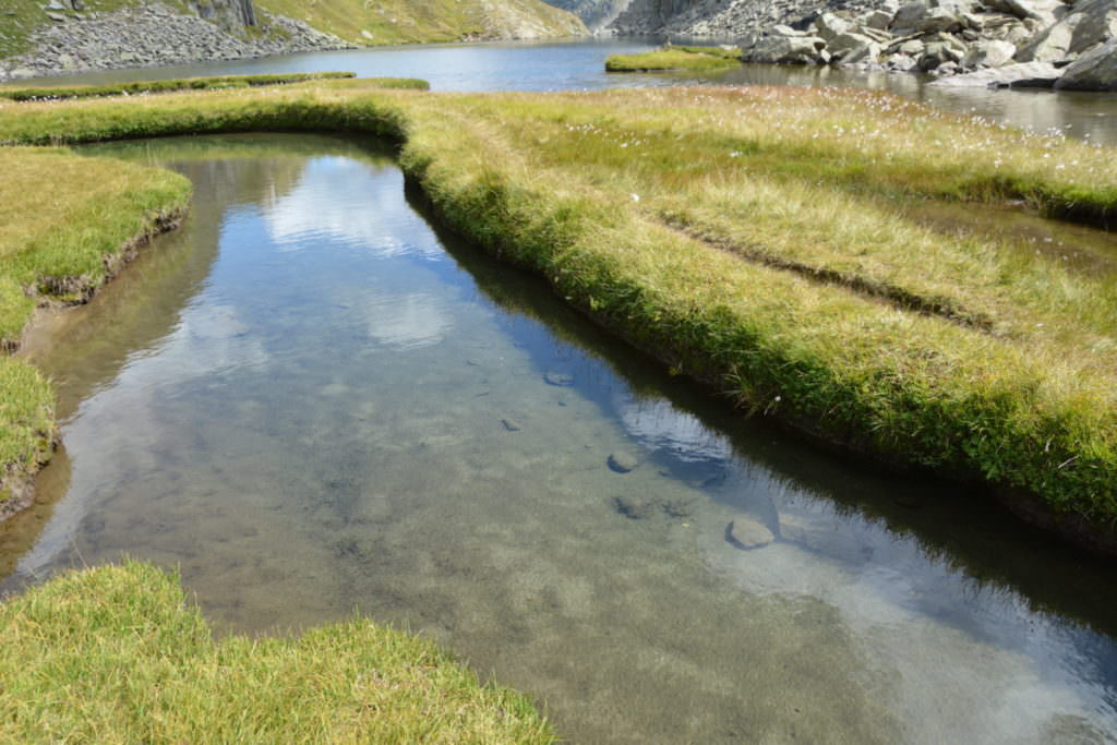 Das glasklare Wasser an der Rheinquelle