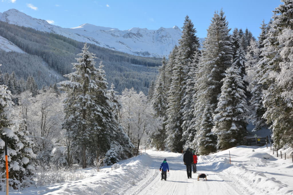 Rodeln Salzburg mit Kindern: Der Tag im Neuschnee bei Sonnenschein war traumhaft!