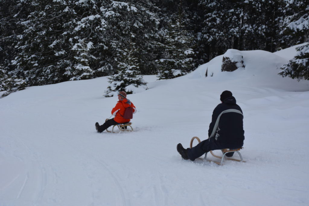 Rodeln Tannheimer Tal Tirol