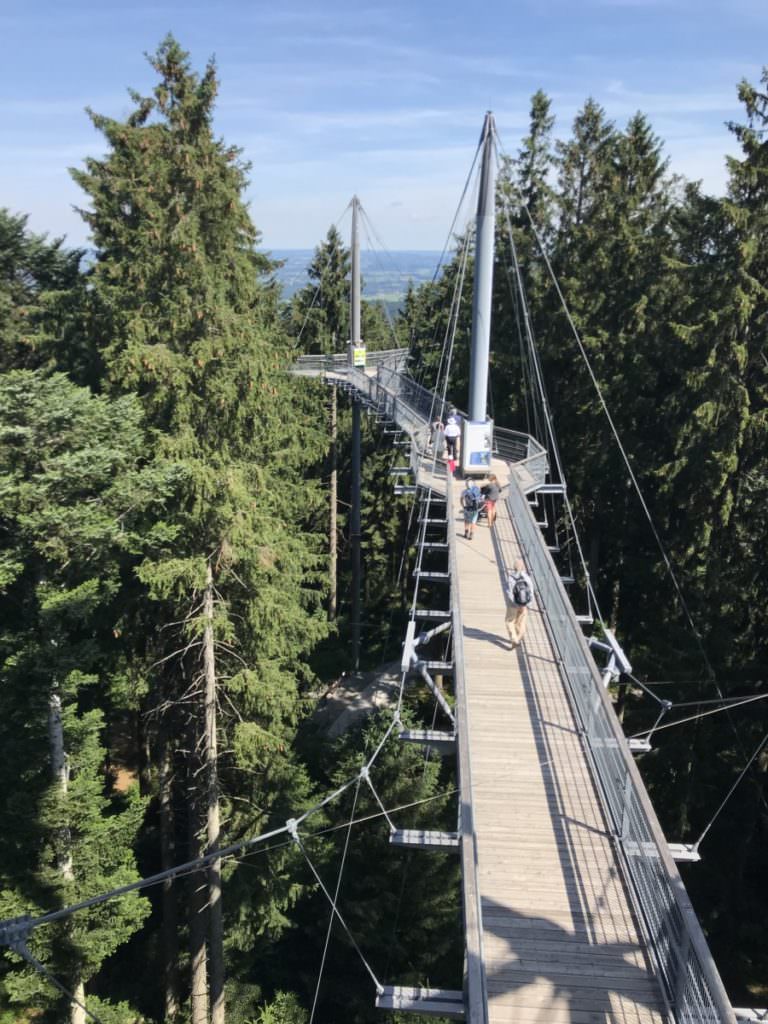 Skywalk Scheidegg - leichte Tour zum Wandern mit Kindern in Bayern. Auf dem Gelände sind viele Spielplätze.