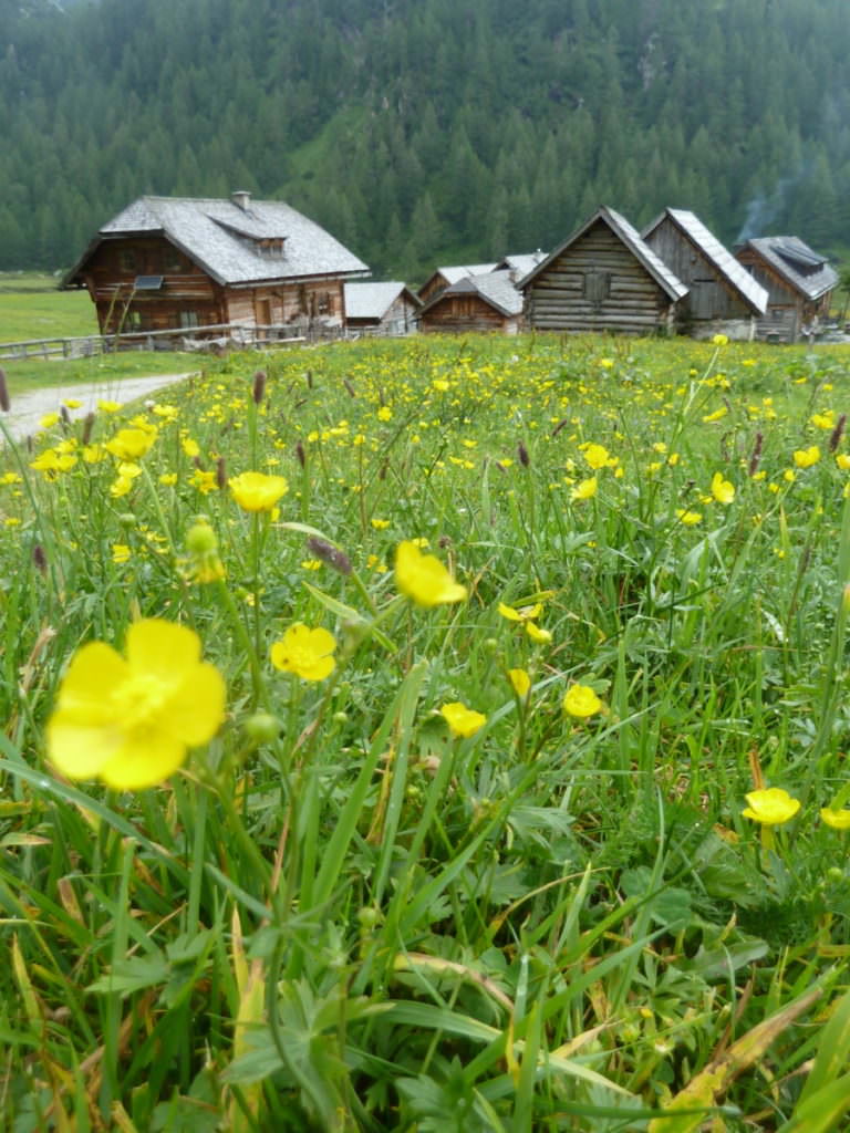 Die Ursprungalm bei Schladming