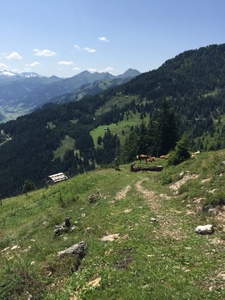 Viehhausalm Grossarl wandern mit Kindern