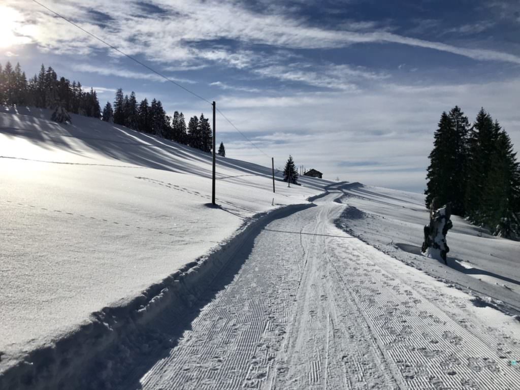 Winterurlaub Deutschland mit Kindern: Die Ruhe beim Winterwandern in Steibis geniessen