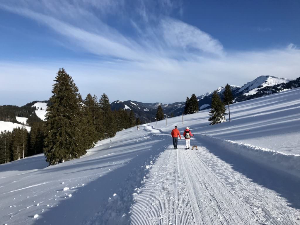 Winterwandern Bayern - so schön war´s in Oberstaufen