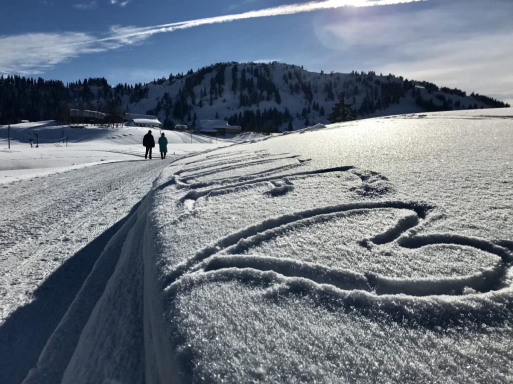 Winterwandern Bayern - hier haben wir die Landschaft in Oberstaufen genossen