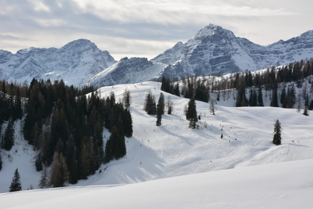 Winterwandern Salzburger Land - über das Winterwunderland auf die verschneiten Loferer Steinberge schauen