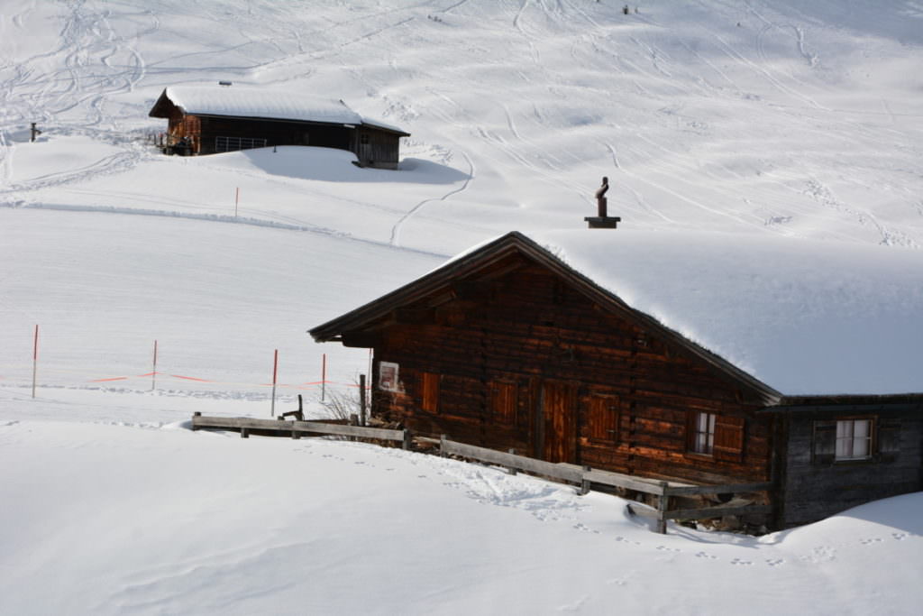 Winterwandern Salzburger Land - in Lofer auf der Alm wandern