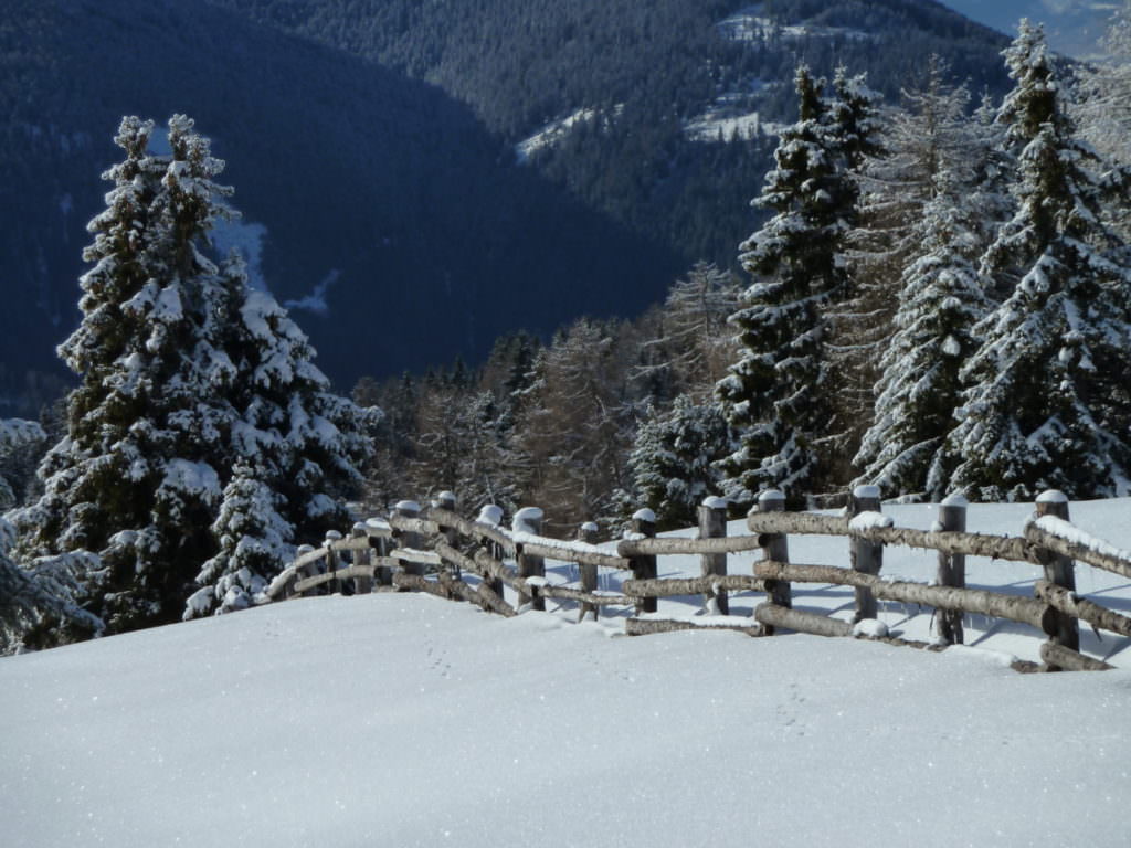 Winterwandern Südtirol - über die weite verschneite Almlandschaft