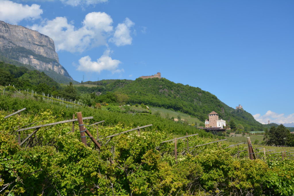 Burgenwanderung Eppan - Bozen wandern mit Kindern zwischen Burgen und Wein