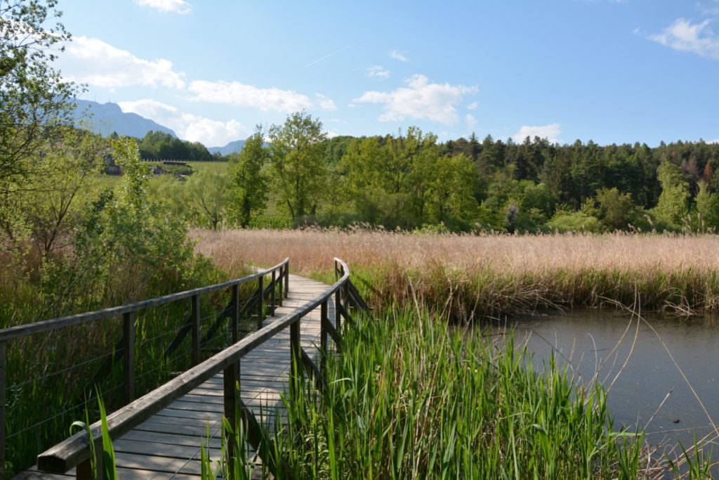 Montiggler See mit Kindern