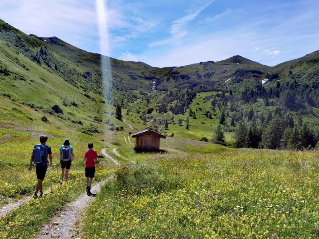 Oberhalb des Obernberger See panoramareich über die Almwiesen wandern