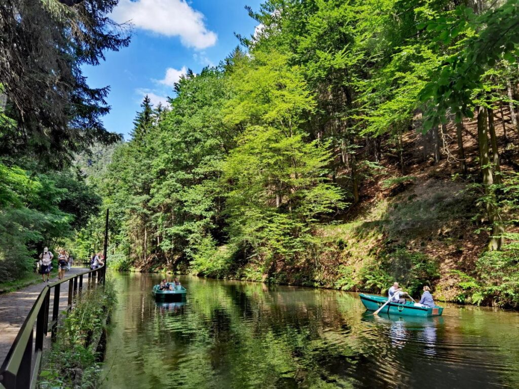 Zeit für eine Rast auf deiner Schwedenlöcher Wanderung? Der Amselsee ist perfekt dafür