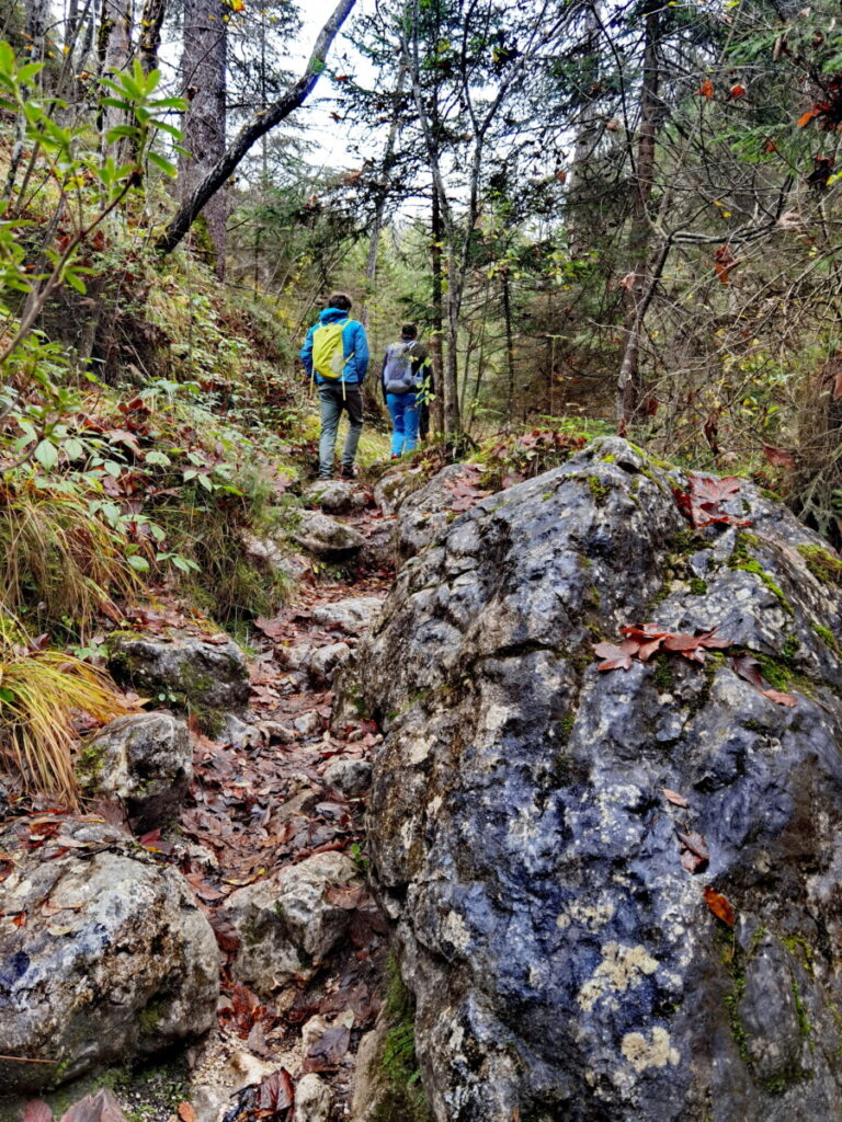 Das erwartet dich auf der Aschauer Klamm Wanderung mit Kindern