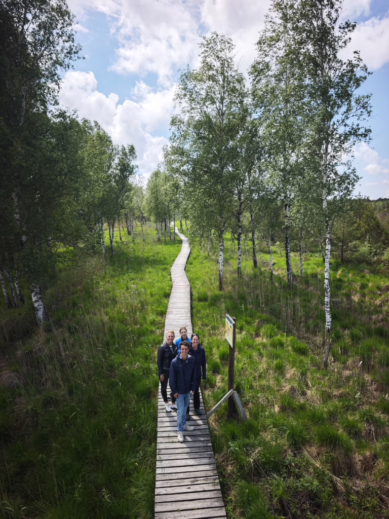 Dieser Holzbohlenweg führt durch das Aukštumala Hochmoor