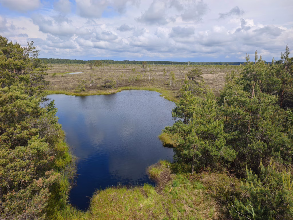 Mehr als 380 dieser kleinen Moorseen gibt es 