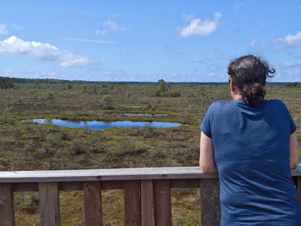 Von ihm hast du einen recht guten Ausblick auf das Aukštumala Moor