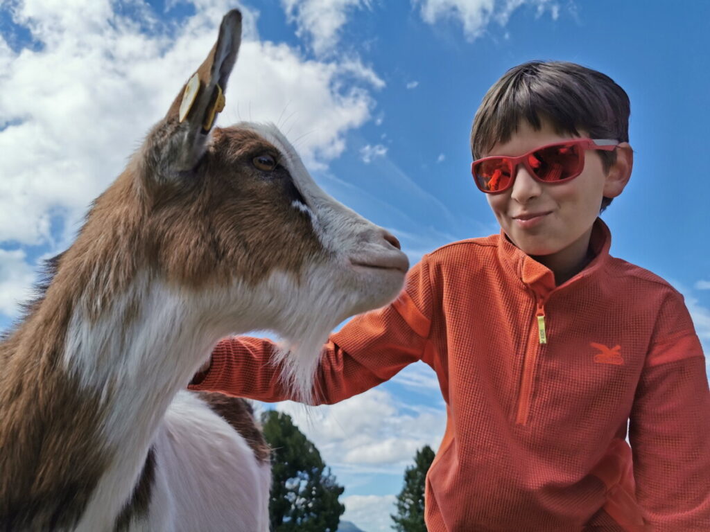 In den Erlebniszoo in den Bergen - das Murmmelland ist perfekt für Pfingsten mit Kindern