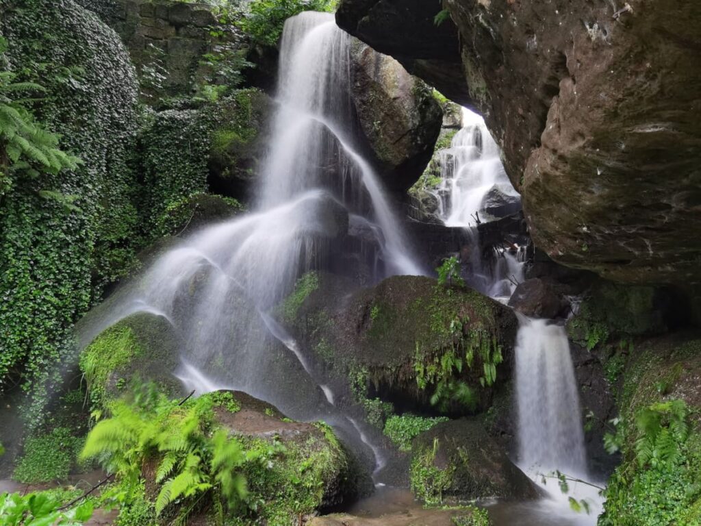Hier lohnt sich die Sächsische Schweiz bei Regen zu besuchen: Die Wasserfälle haben besonders viel Wasser!