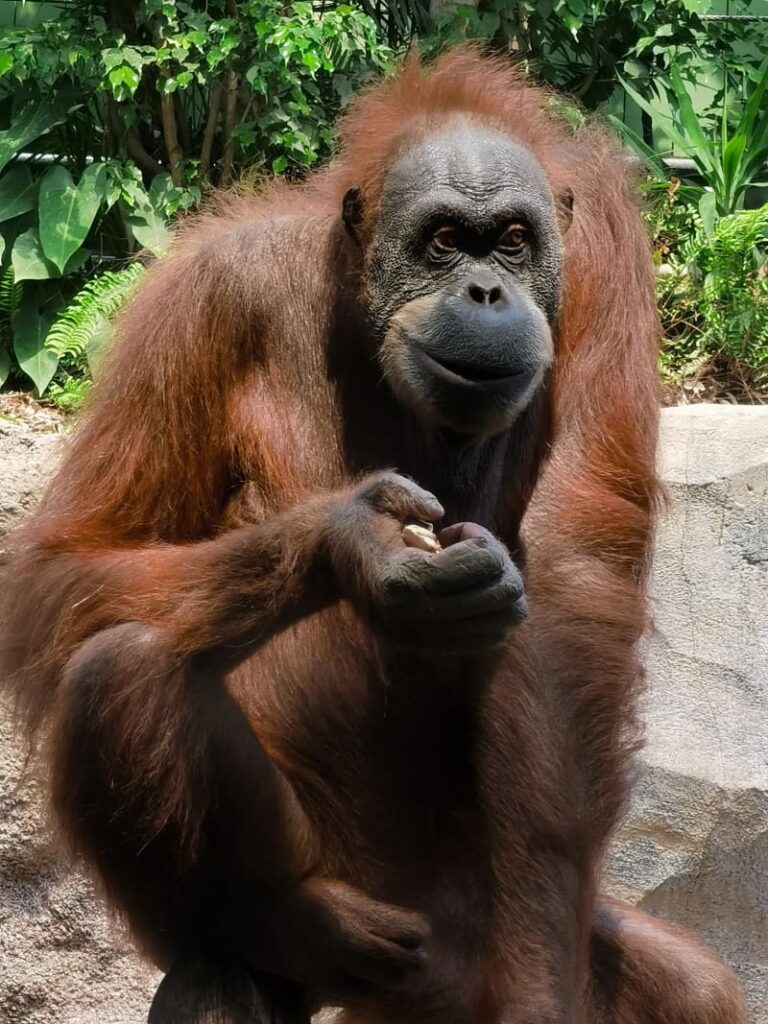 Hautnah die Tiere beobachten im Zoo Leipzig mit Kindern