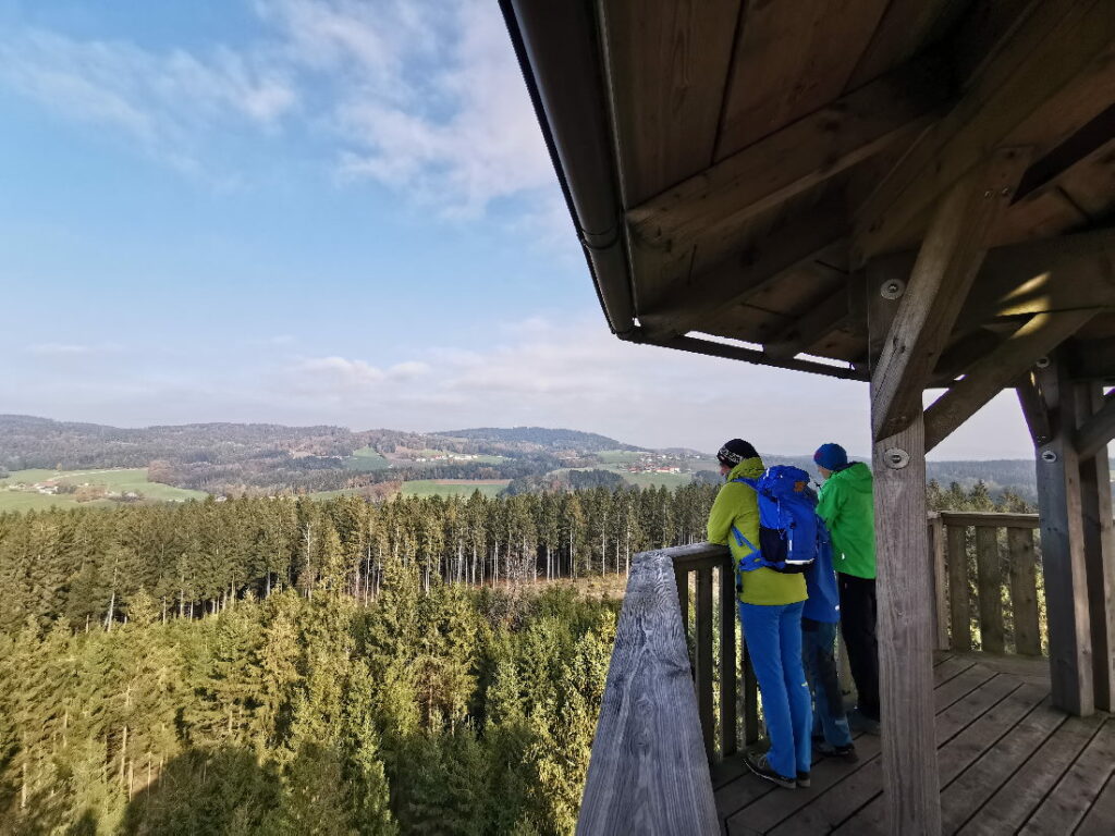 Ausflugsziele Oberösterreich: Auf dem Baumkronenweg zu den Aussichtspunkten und dann zum Spielplatz im Wald