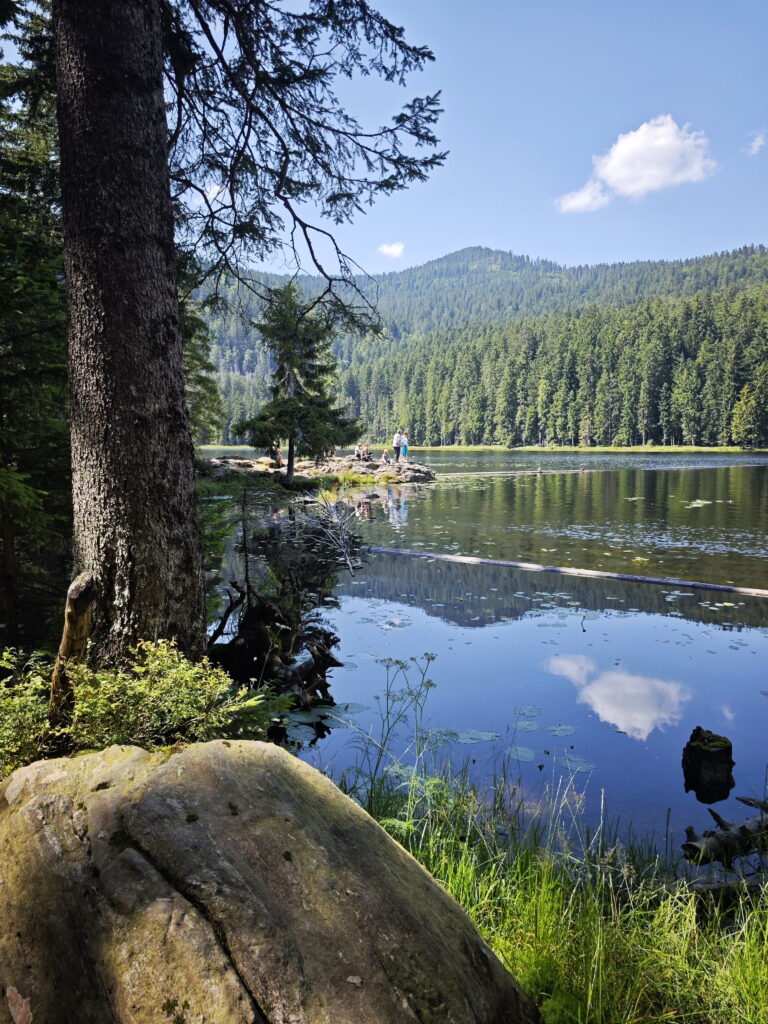 Ausflugsziele Zwiesel mit Kindern: Großer Arbersee