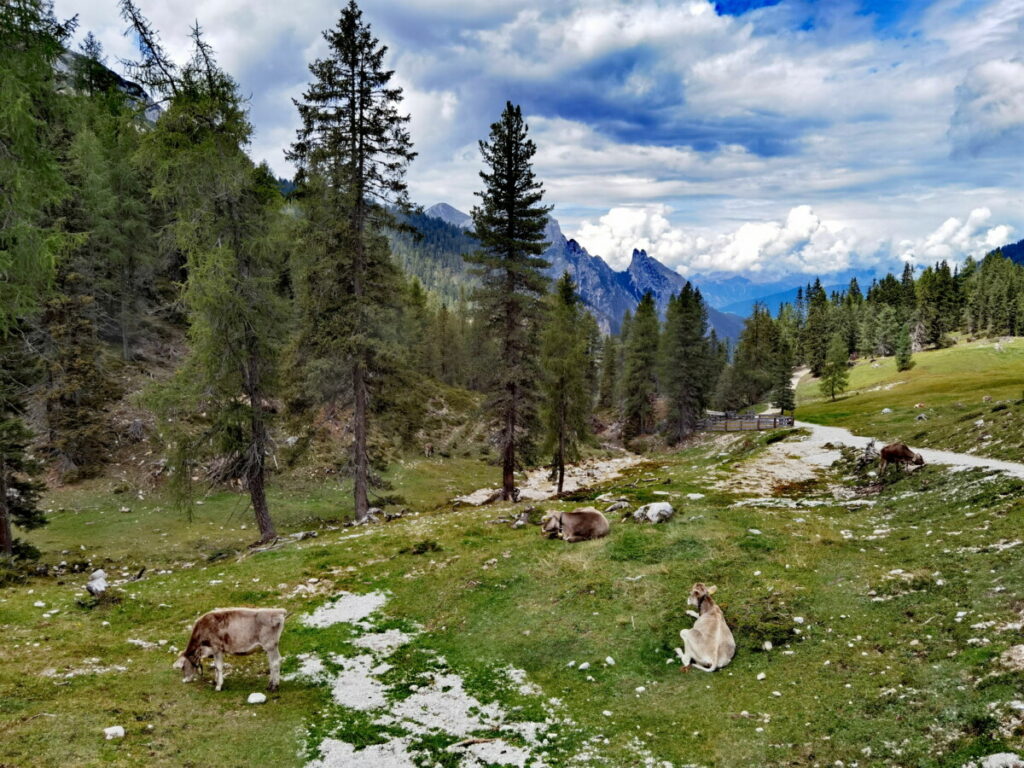 Bauernhofurlaub Südtirol