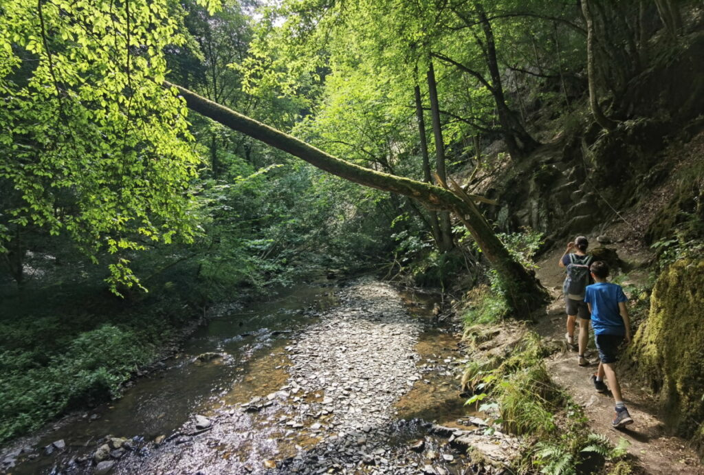 Entdecke die wildromantische Baybachklamm mit Kindern