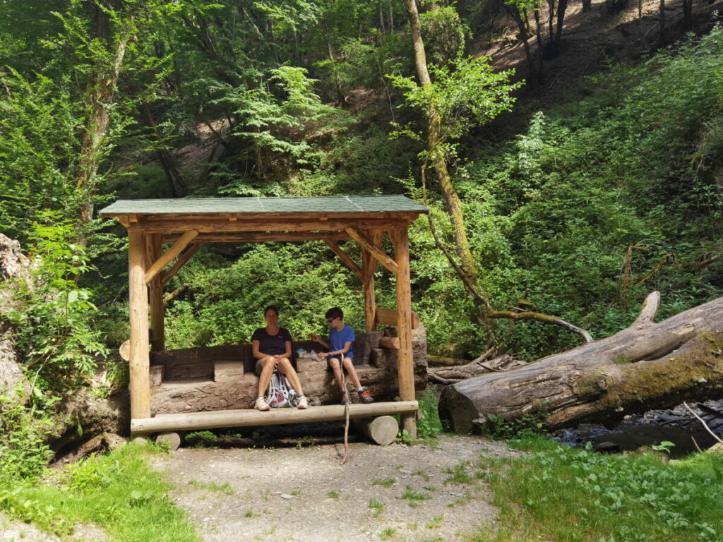 Außergewöhnliche Pause auf der Baybachklamm Traumschleife - Rastplatz auf einem umgefallenen Baum