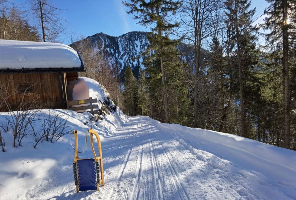 Bayrischzell rodeln mit Kindern - auf der kilometerlangen Rodelbahn Obere Fistalm