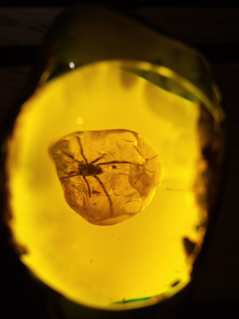 Bernsteinmuseum Nida auf der Kurischen Nehrung