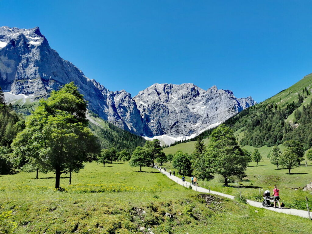 Binsalm mit Kinderwagen - zuerst in die Eng Alm und dann hinauf auf die Bins