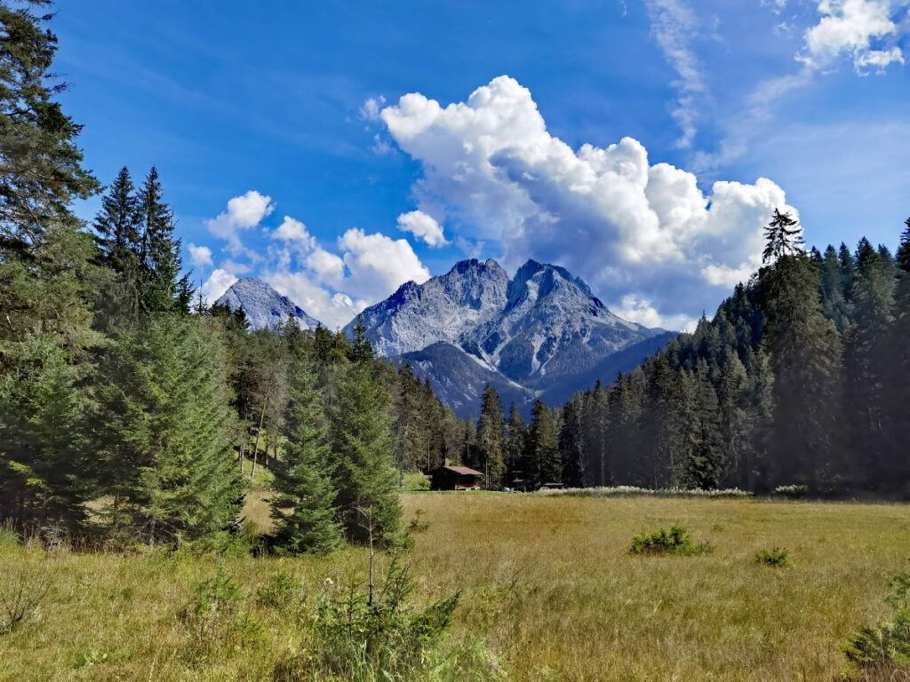 Unten das Moor und der Wald, oben die Berge