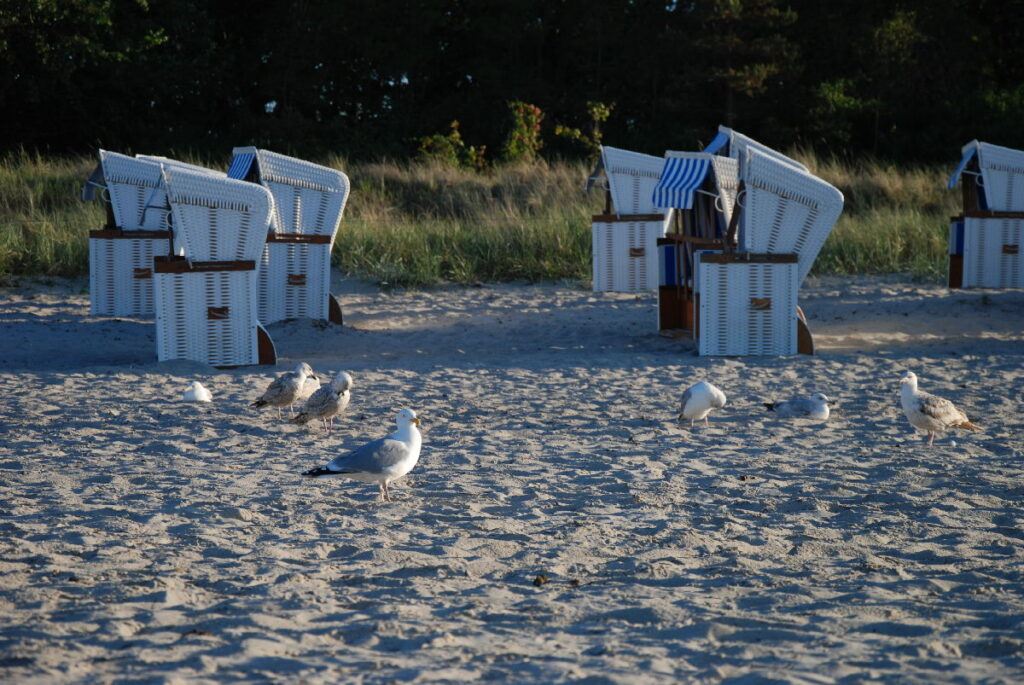 Die Strandkörbe an der Küste