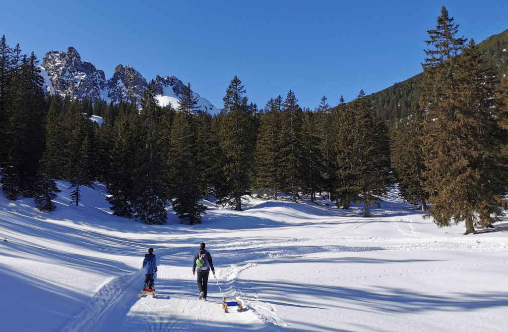 Brandnertal Rodelbahn: DIe längere Variante der Rodelsafari - mit viel schöner Winterlandschaft