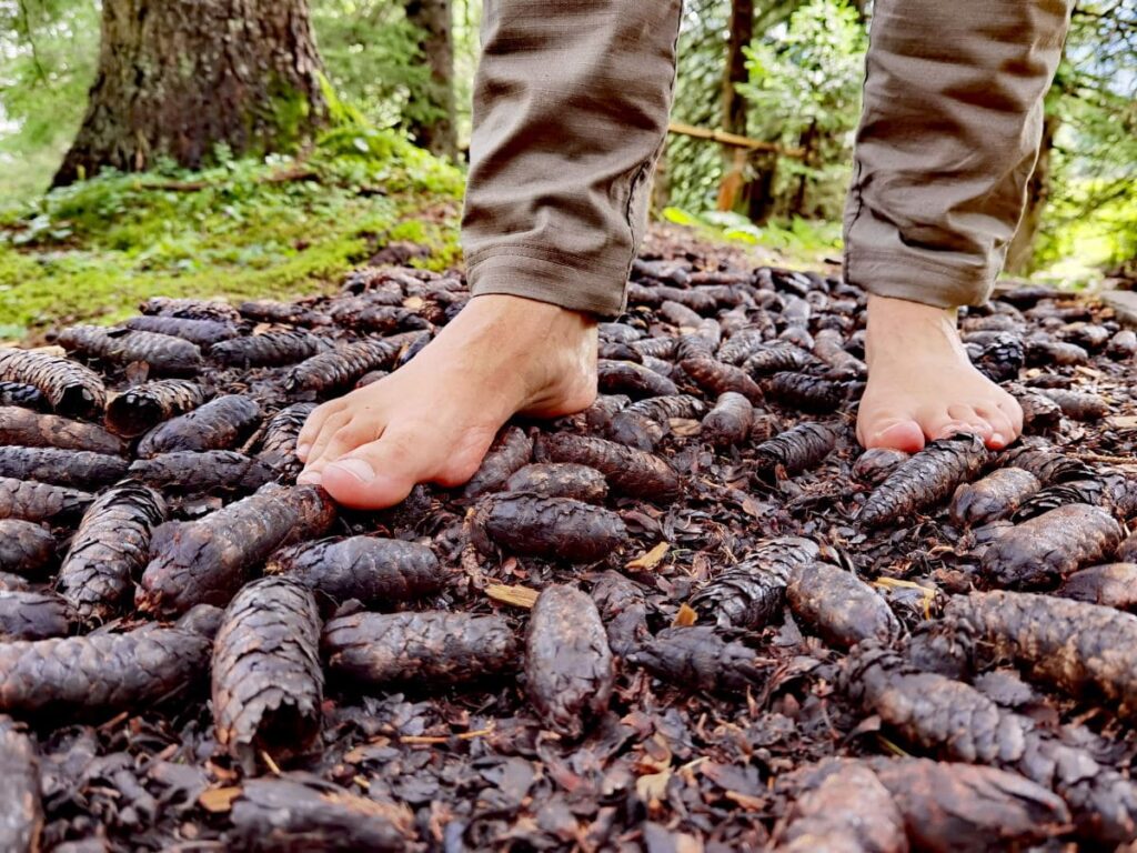 Im Brandnertal wandern auf dem Barfußweg