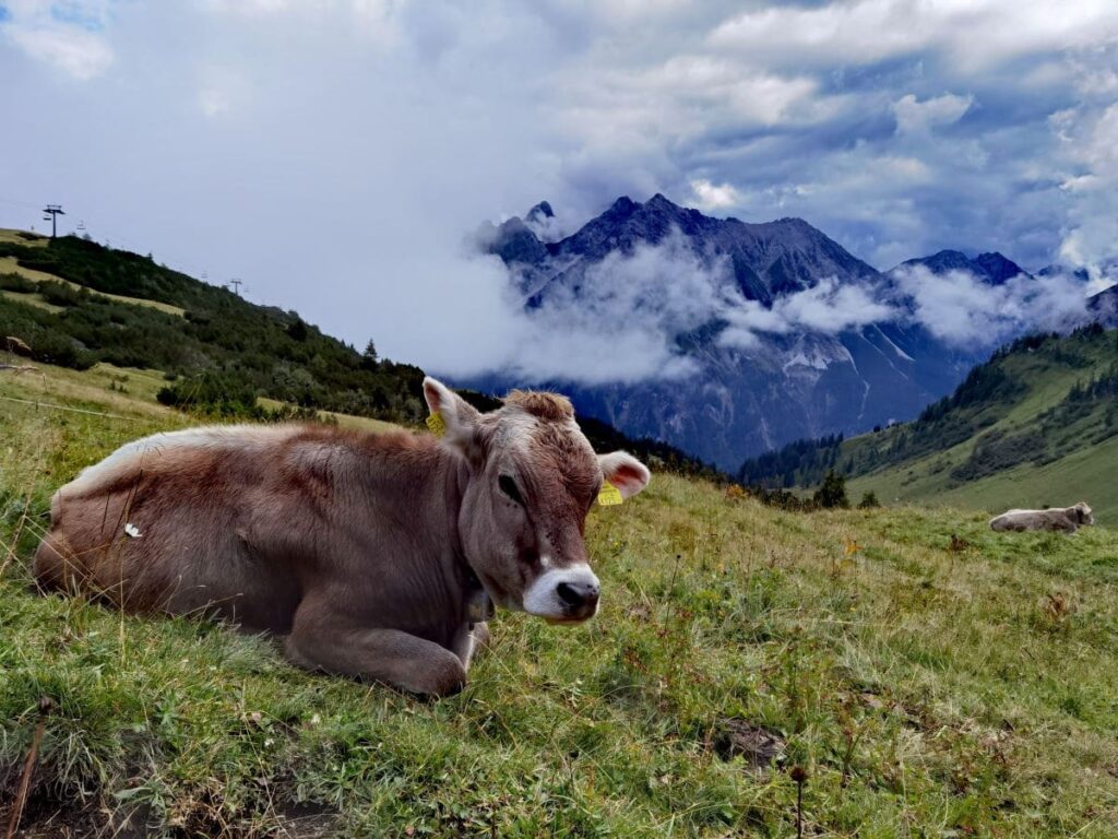 Brandnertal wandern - Dank Bergbahn entspannt hinauf in die Natur