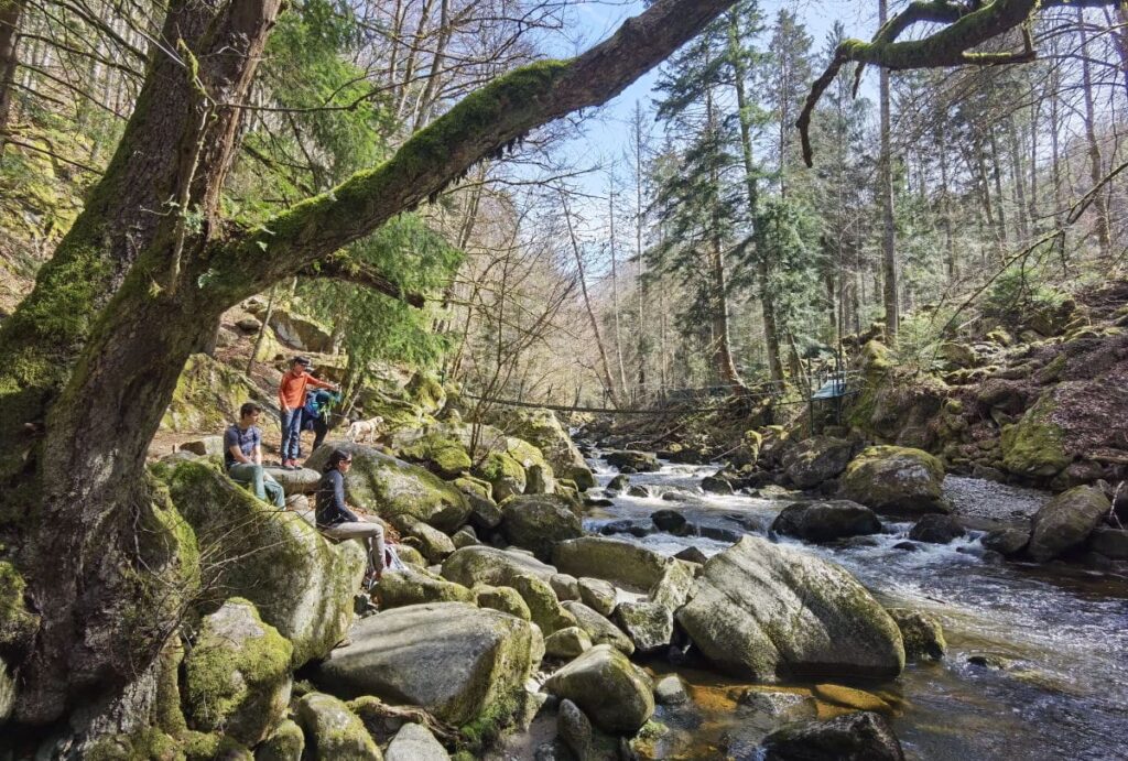 Wir zeigen dir die schönsten Plätze in der Buchberger Leite - leichte Wanderung durch eine magische Klamm im Bayerischen Wald