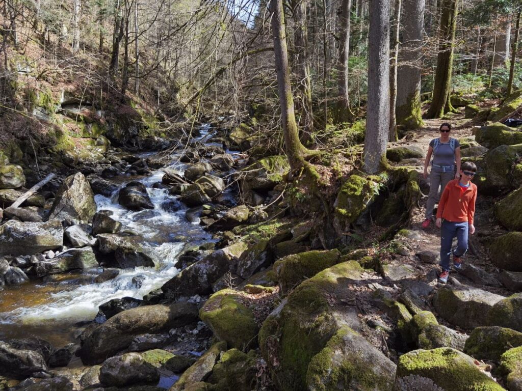 Durch die Buchberger Leite wildromantisch wandern mit Kindern