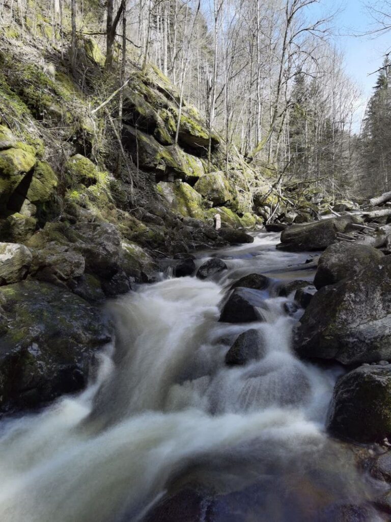 Wildes Wasser in der Buchberger Leite